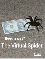 Poke and prod the spider with your mouse, also 'grab' one of its legs with your mouse and drag it around  the screen -- tell me it's not alive!